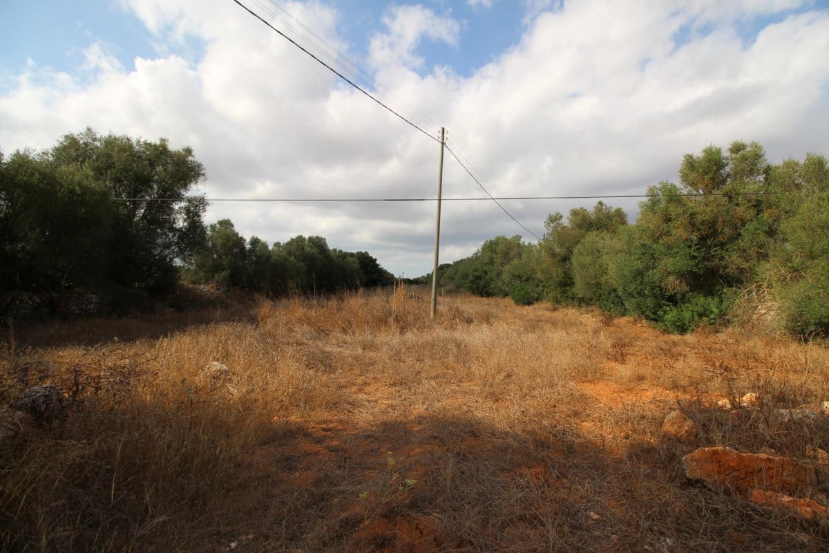 Terre non Aménagée à vendre à Felanitx - 160 000 € (Ref: 6163085)