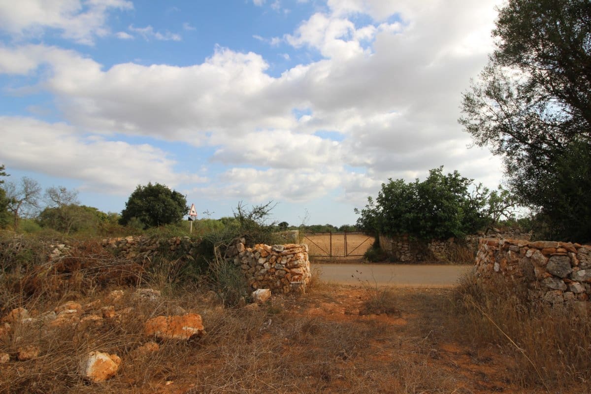 Terre non Aménagée à vendre à Felanitx - 160 000 € (Ref: 6163085)