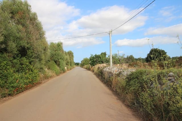 Undeveloped Land for sale in Felanitx - € 160,000 (Ref: 6163085)