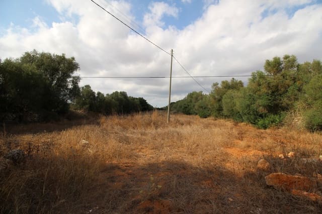 Undeveloped Land for sale in Felanitx - € 160,000 (Ref: 6163085)