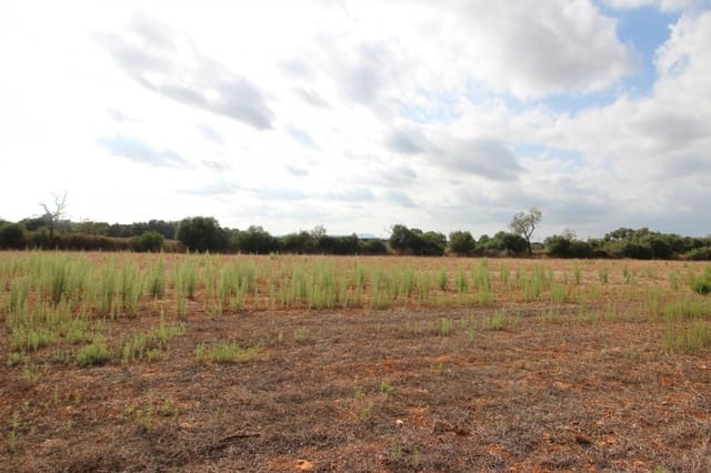 Undeveloped Land for sale in Felanitx - € 160,000 (Ref: 6163085)