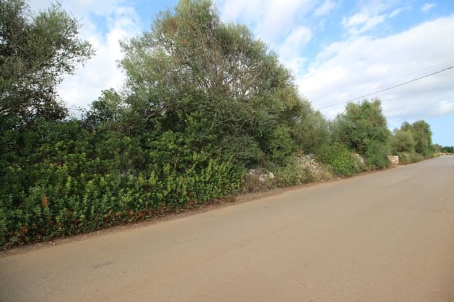 Undeveloped Land for sale in Felanitx - € 160,000 (Ref: 6163085)