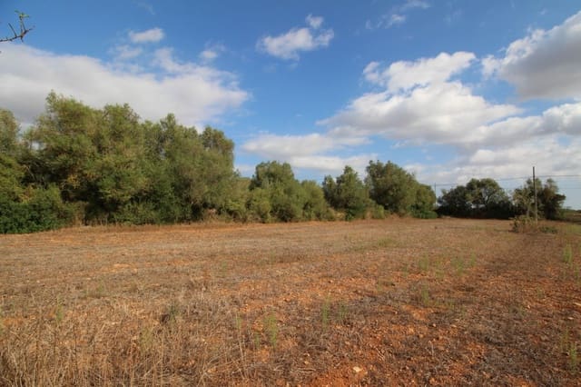 Undeveloped Land for sale in Felanitx - € 160,000 (Ref: 6163085)