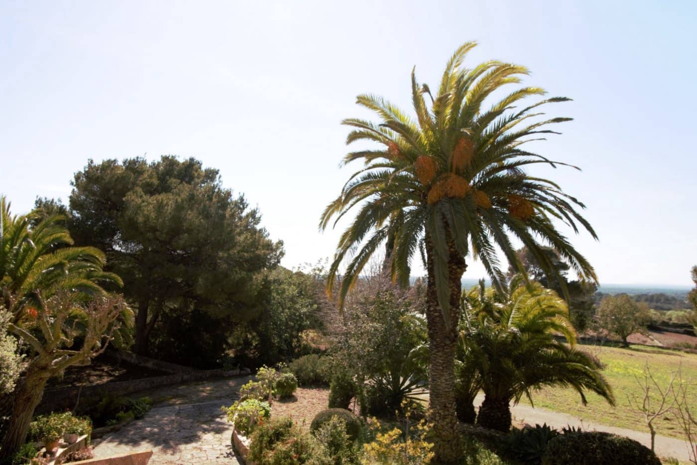 3 soverom Finca/Herregård til salgs i Es Carritxo / El Carritxo - € 2 400 000 (Ref: 6163093)