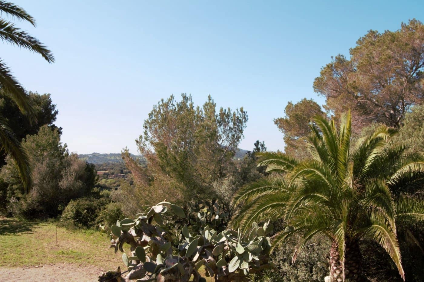 3 soverom Finca/Herregård til salgs i Es Carritxo / El Carritxo - € 2 400 000 (Ref: 6163093)