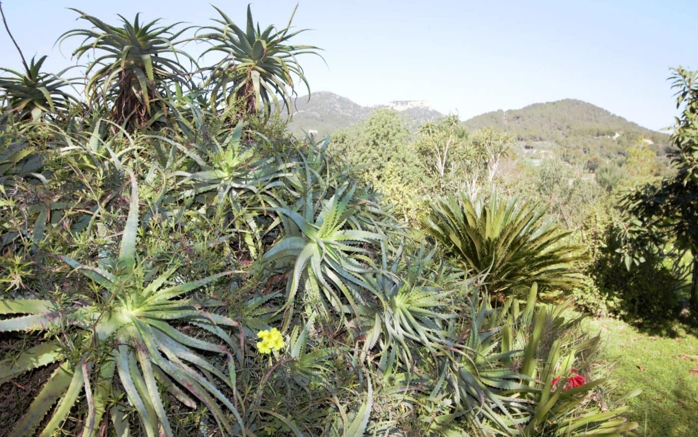 3 soverom Finca/Herregård til salgs i Es Carritxo / El Carritxo - € 2 400 000 (Ref: 6163093)