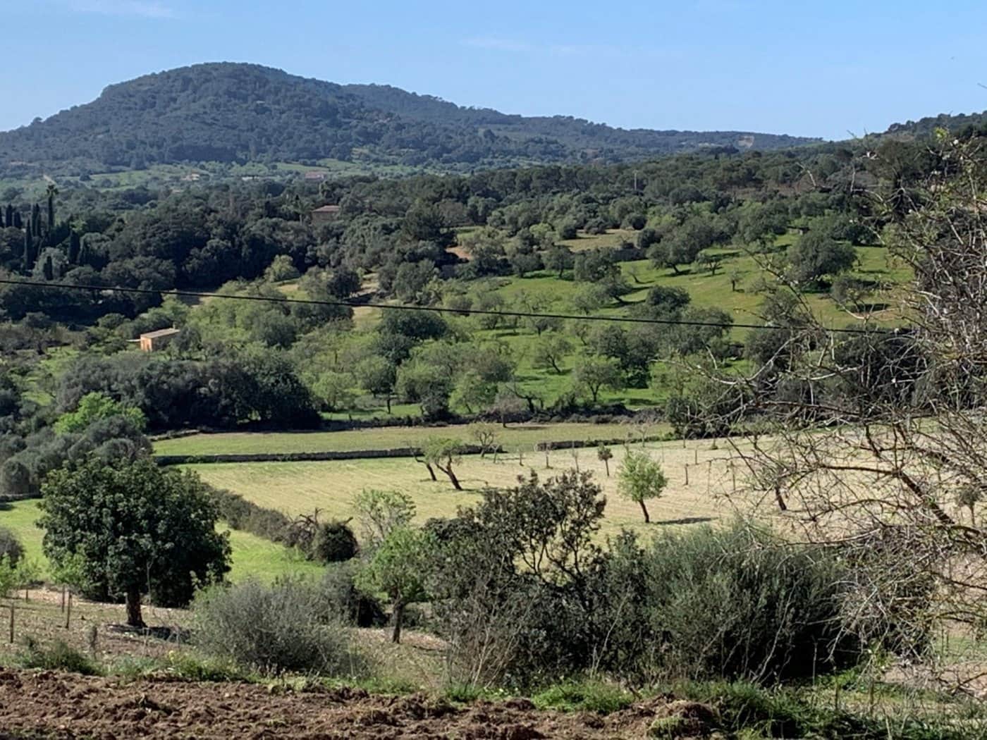 3 soverom Finca/Herregård til salgs i Es Carritxo / El Carritxo - € 2 400 000 (Ref: 6163093)