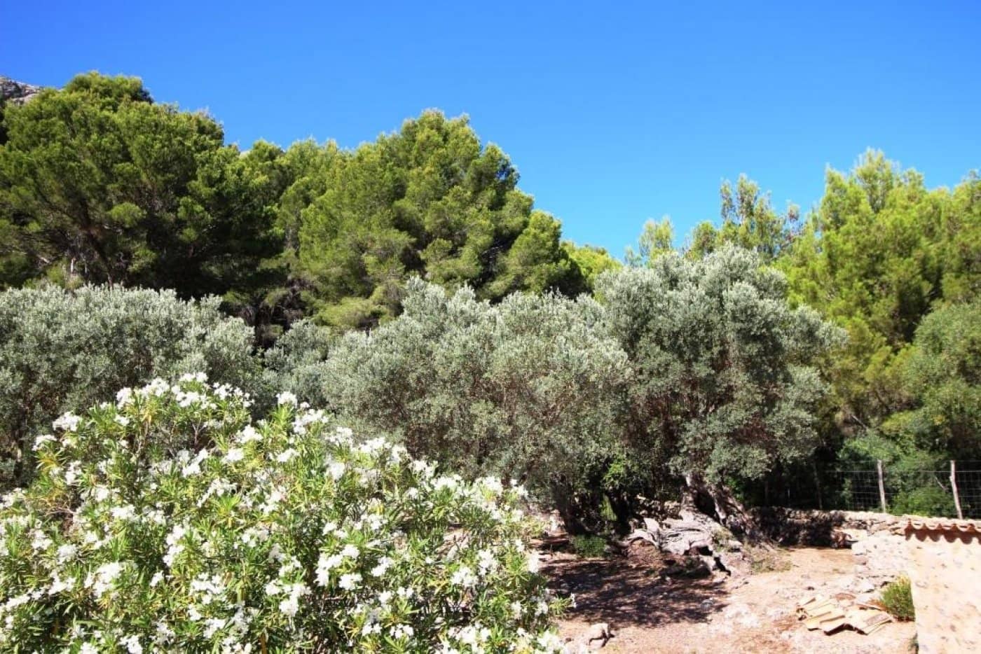 4 bedroom Finca/Country House for sale in Sa Calobra / La Calobra with pool - € 2,000,000 (Ref: 6163095)