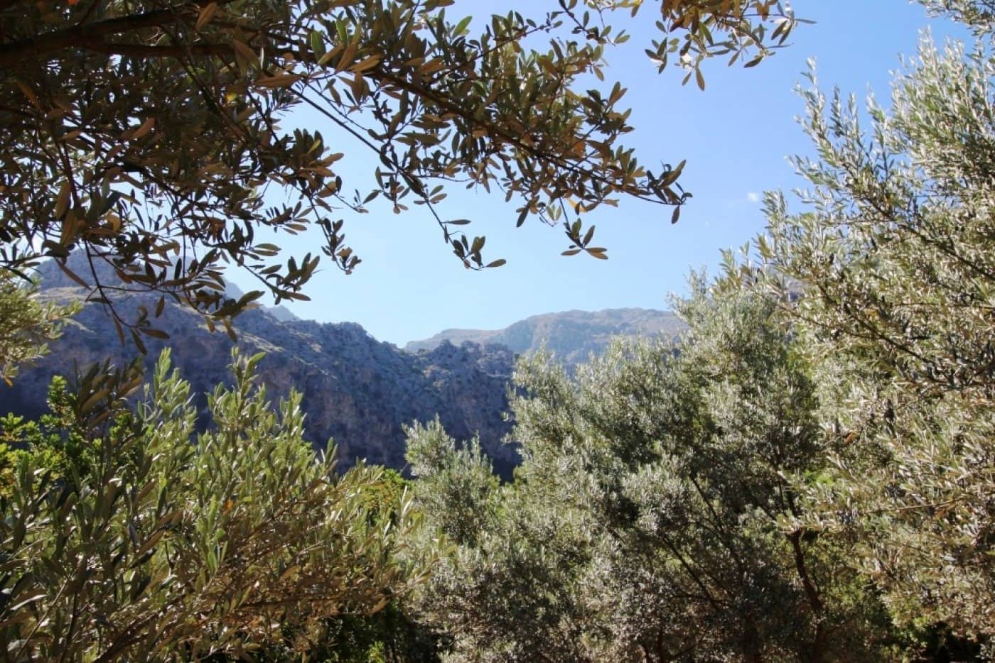 4 bedroom Finca/Country House for sale in Sa Calobra / La Calobra with pool - € 2,000,000 (Ref: 6163095)