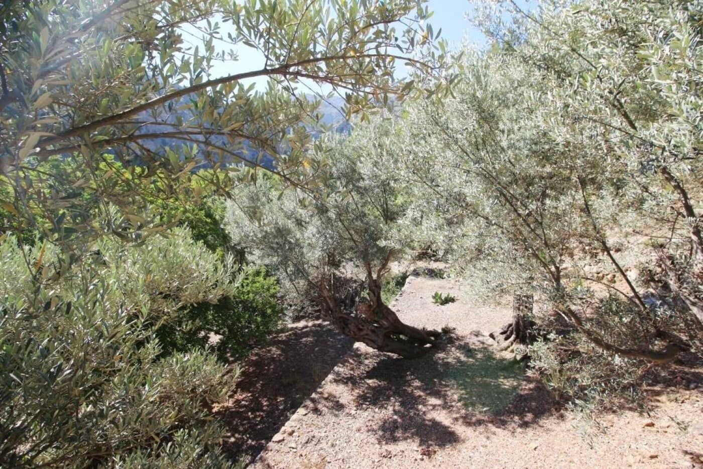 4 bedroom Finca/Country House for sale in Sa Calobra / La Calobra with pool - € 2,000,000 (Ref: 6163095)