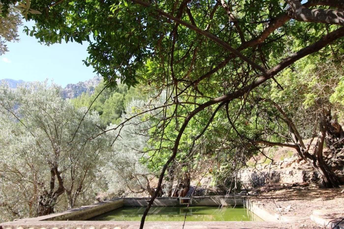 4 bedroom Finca/Country House for sale in Sa Calobra / La Calobra with pool - € 2,000,000 (Ref: 6163095)