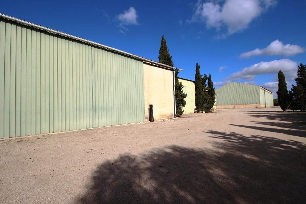 5 soveværelse Finca/Landehus til salg i Sa Rapita / La Rapita med swimmingpool garage - € 1.900.000 (Ref: 7586163)