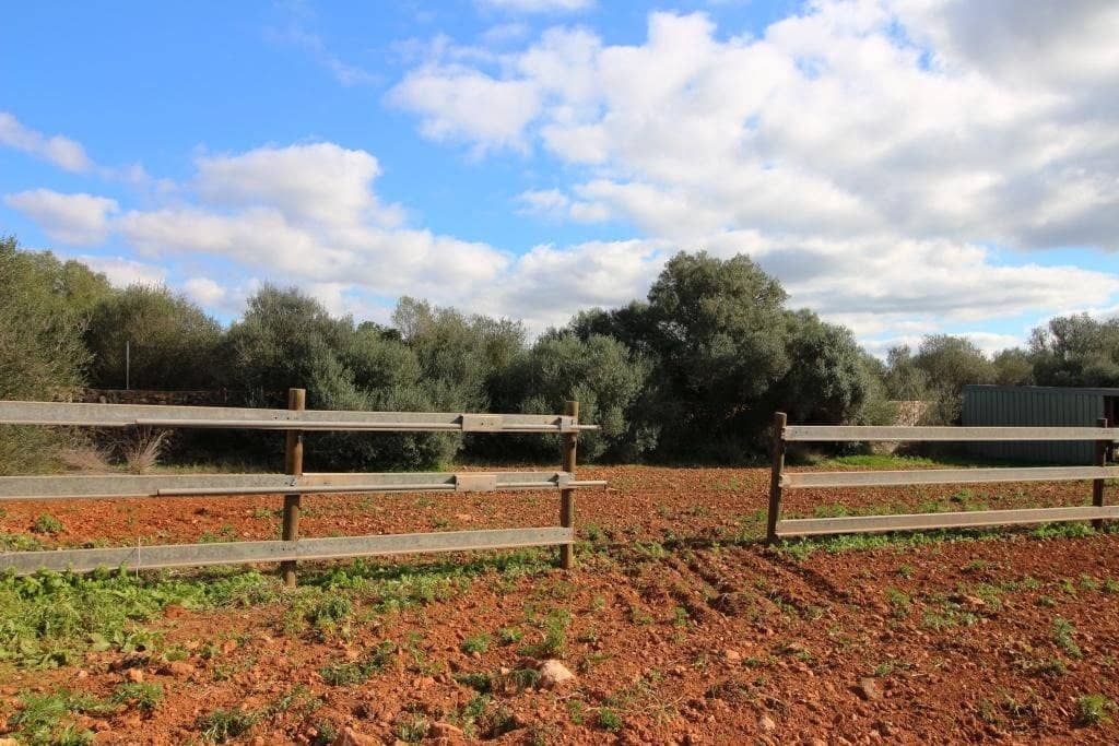 5 soveværelse Finca/Landehus til salg i Sa Rapita / La Rapita med swimmingpool garage - € 1.900.000 (Ref: 7586163)