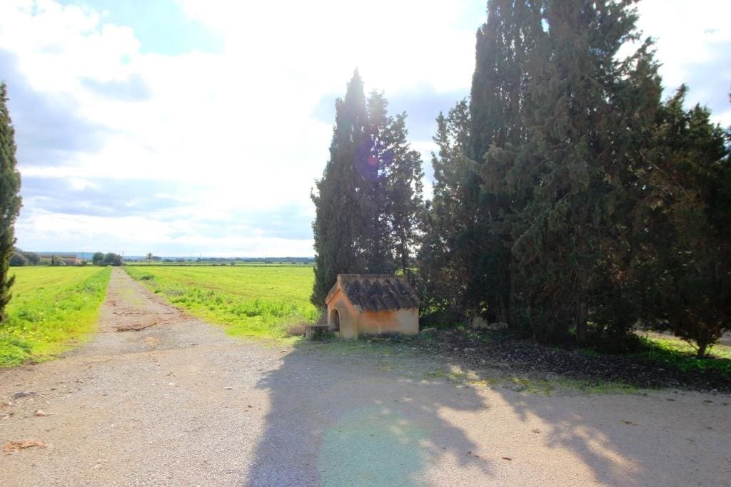 5 soveværelse Finca/Landehus til salg i Sa Rapita / La Rapita med swimmingpool garage - € 1.900.000 (Ref: 7586163)