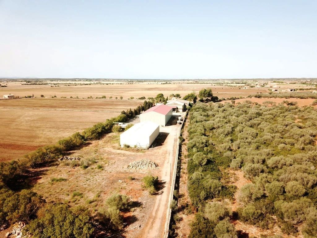 5 soveværelse Finca/Landehus til salg i Sa Rapita / La Rapita med swimmingpool garage - € 1.900.000 (Ref: 7586163)