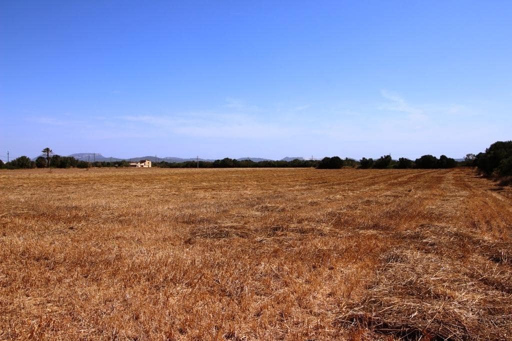 Tomt till salu i Campos - 730 000 € (Ref: 7706917)