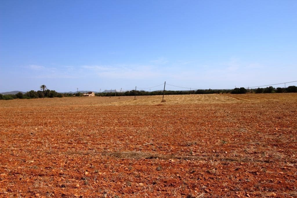 Tomt till salu i Campos - 730 000 € (Ref: 7706917)