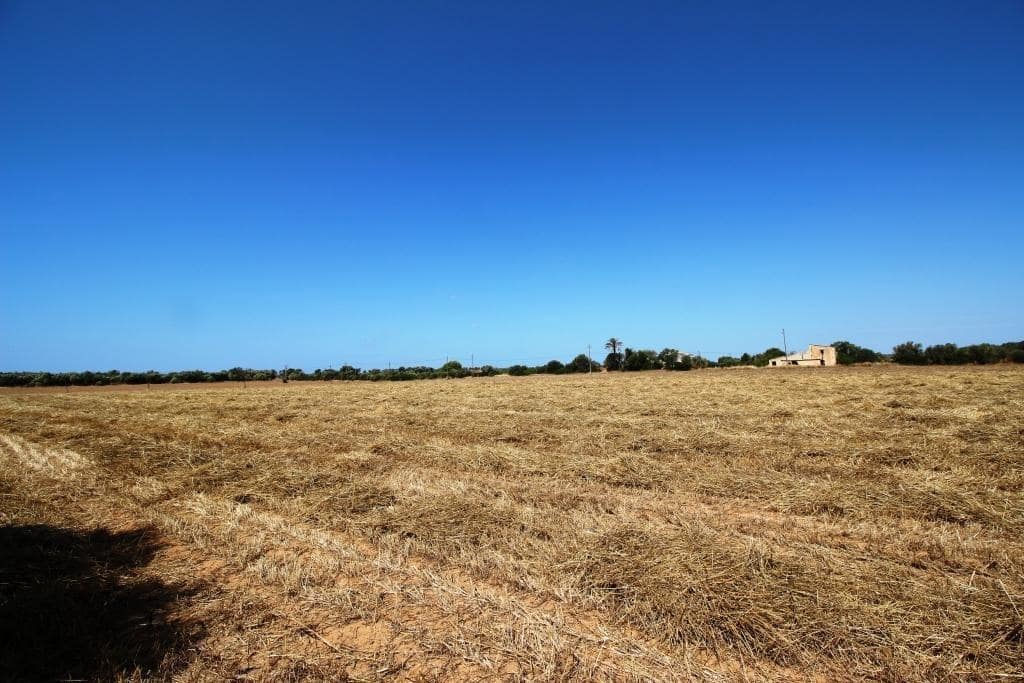 Tomt till salu i Campos - 730 000 € (Ref: 7706917)