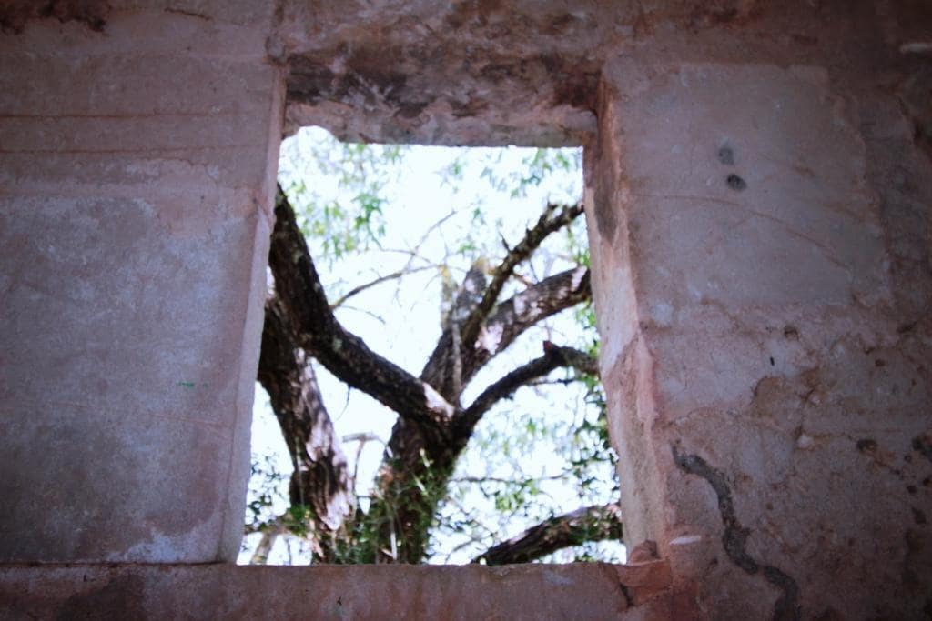 Tomt till salu i Campos - 730 000 € (Ref: 7706917)