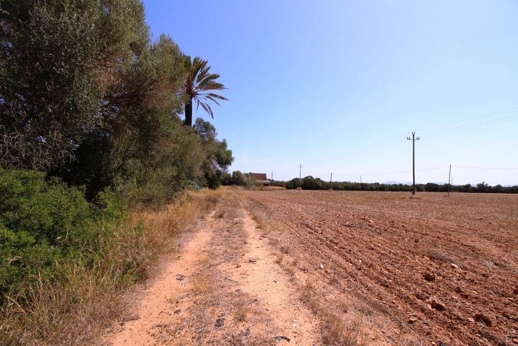 Tomt till salu i Campos - 730 000 € (Ref: 7706917)