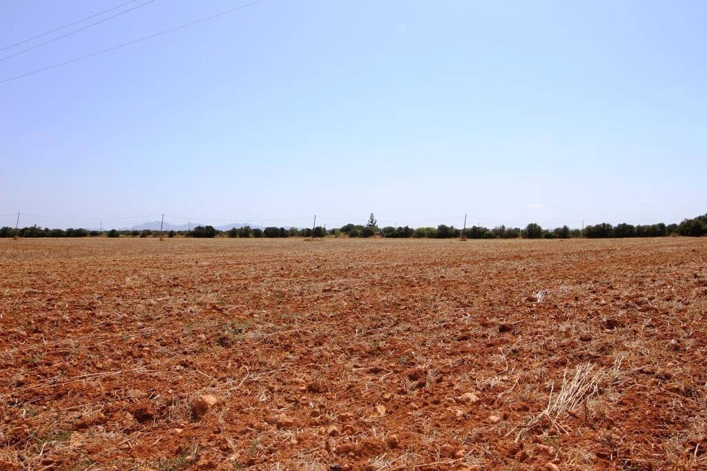 Tomt till salu i Campos - 730 000 € (Ref: 7706917)