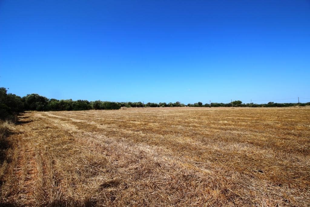 Tomt till salu i Campos - 730 000 € (Ref: 7706917)