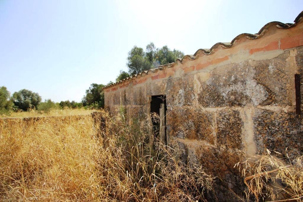 Tomt till salu i Campos - 730 000 € (Ref: 7706917)