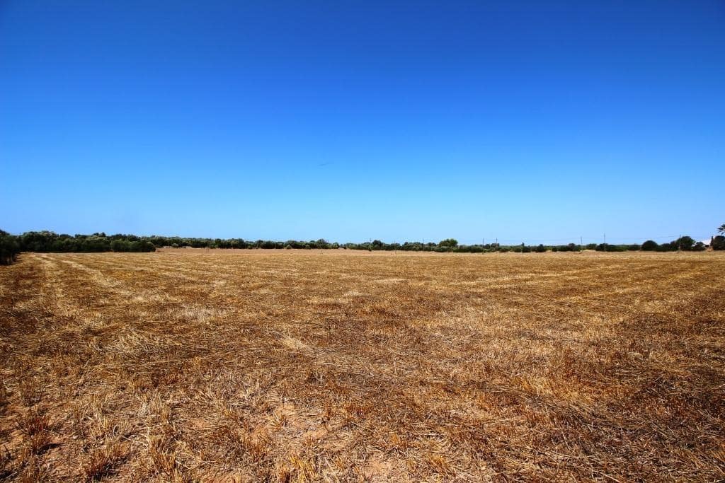 Tomt till salu i Campos - 730 000 € (Ref: 7706917)