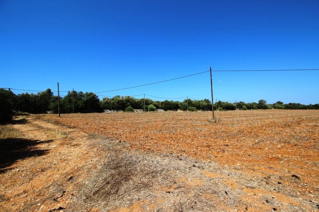 Tomt till salu i Campos - 730 000 € (Ref: 7706917)