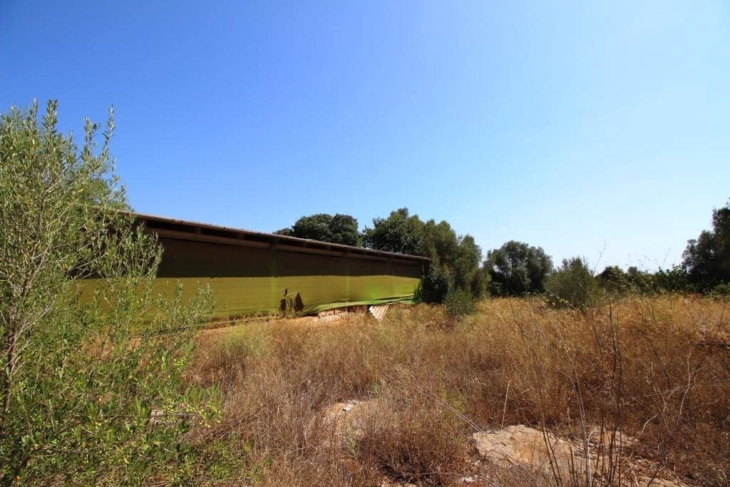 Tomt till salu i Campos - 730 000 € (Ref: 7706917)