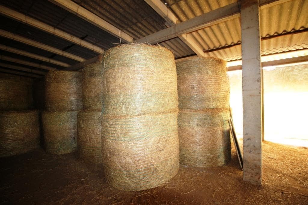 Tomt till salu i Campos - 730 000 € (Ref: 7706917)