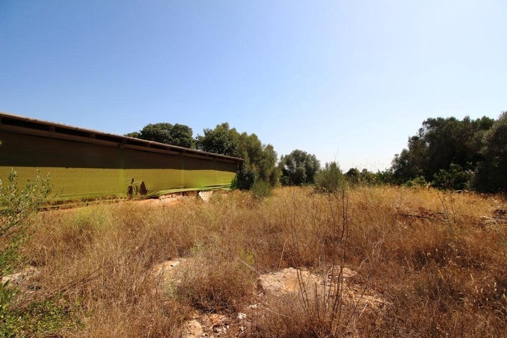 Tomt till salu i Campos - 730 000 € (Ref: 7706917)