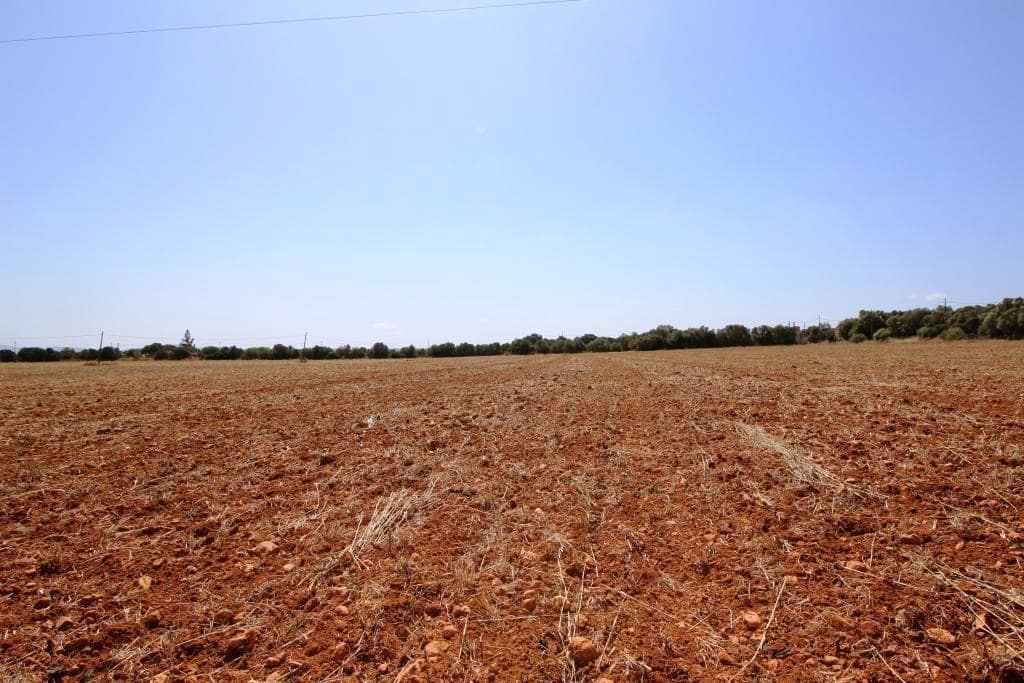 Tomt till salu i Campos - 730 000 € (Ref: 7706917)