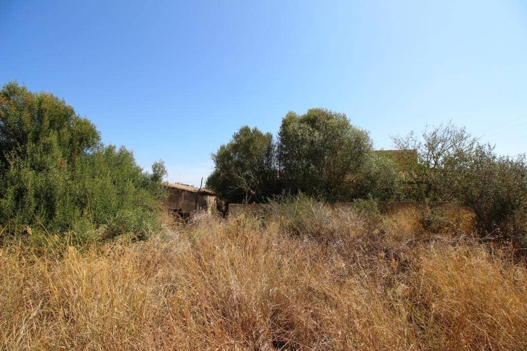 Tomt till salu i Campos - 730 000 € (Ref: 7706917)