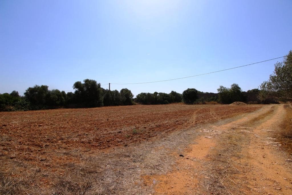 Tomt till salu i Campos - 730 000 € (Ref: 7706917)