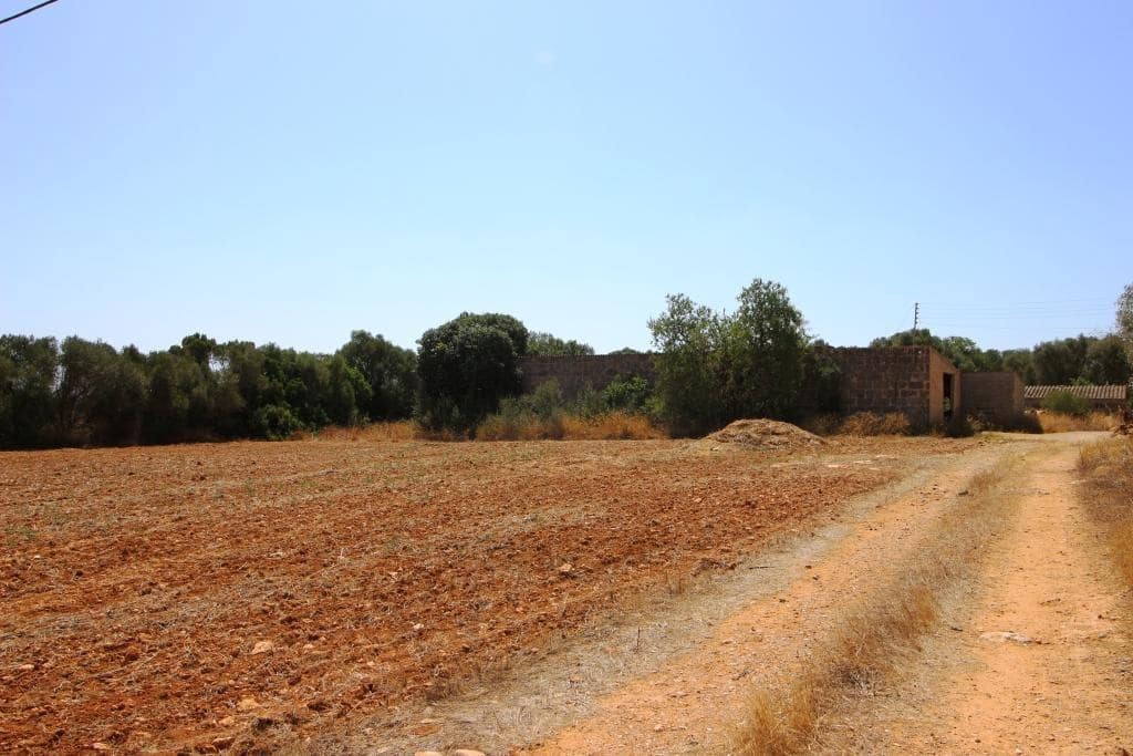 Tomt till salu i Campos - 730 000 € (Ref: 7706917)