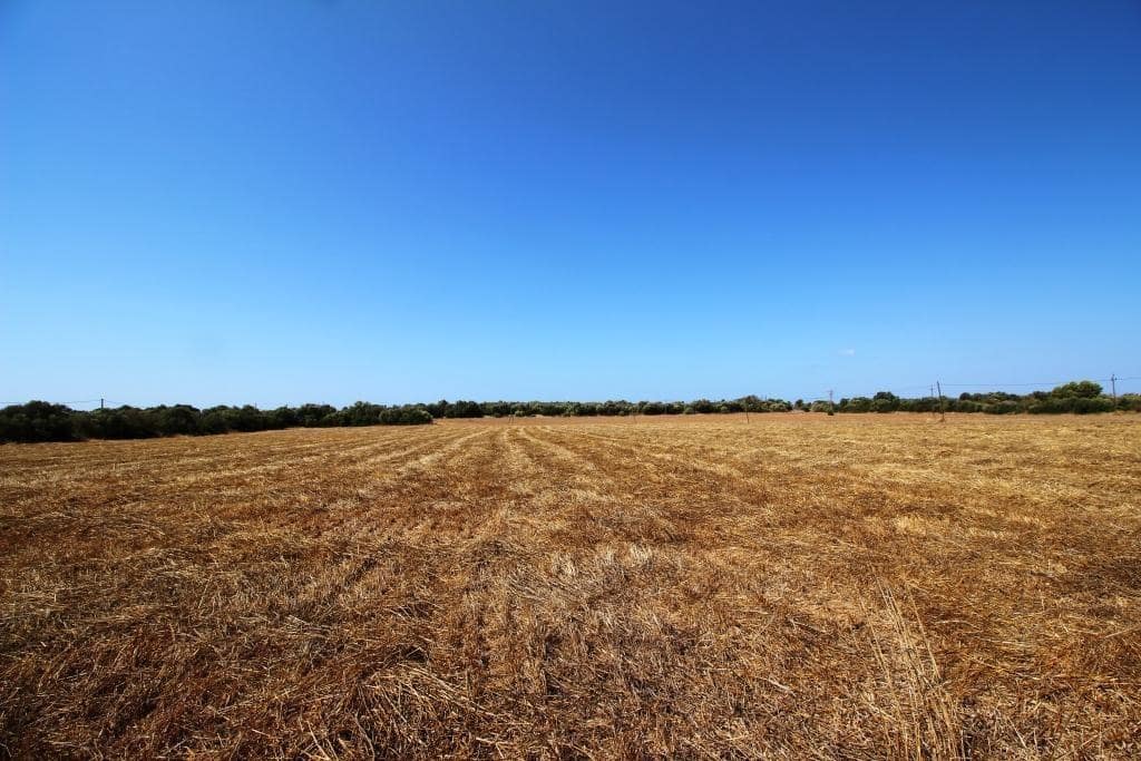 Tomt till salu i Campos - 730 000 € (Ref: 7706917)