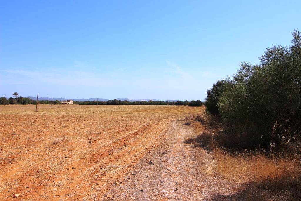 Tomt till salu i Campos - 730 000 € (Ref: 7706917)