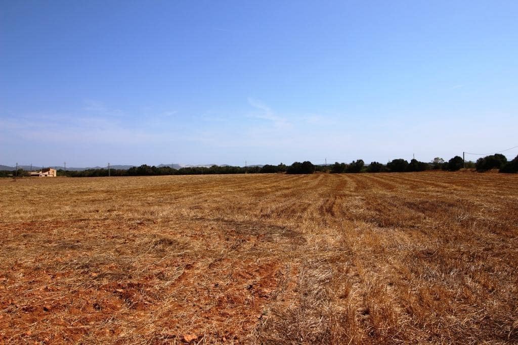 Tomt till salu i Campos - 730 000 € (Ref: 7706917)