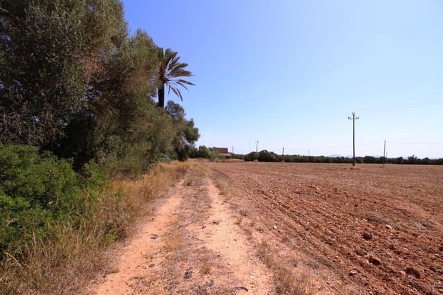 Tomt till salu i Campos - 730 000 € (Ref: 7706917)