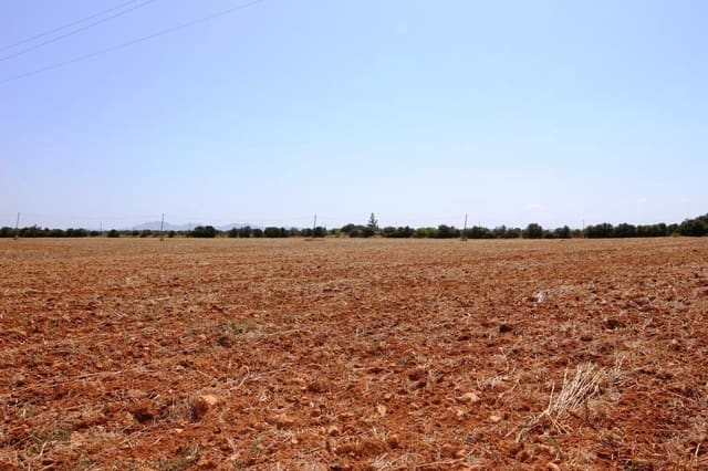 Tomt till salu i Campos - 730 000 € (Ref: 7706917)