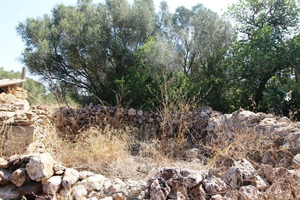 Tomt till salu i Campos - 730 000 € (Ref: 7706917)