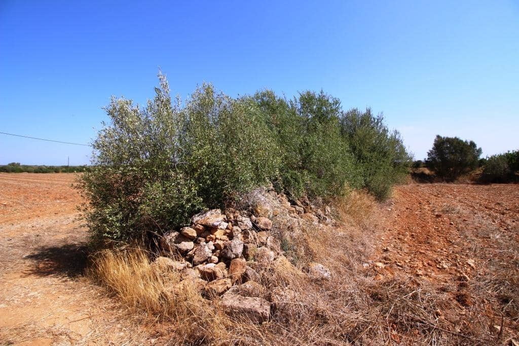 Tomt till salu i Campos - 730 000 € (Ref: 7706917)