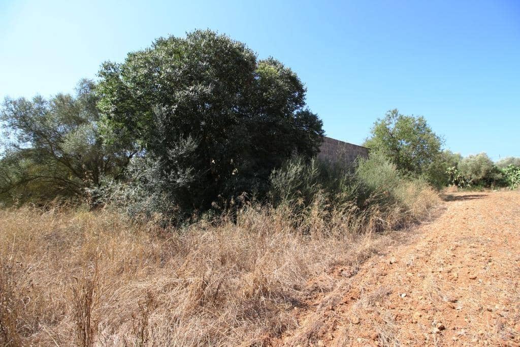 Tomt till salu i Campos - 730 000 € (Ref: 7706917)