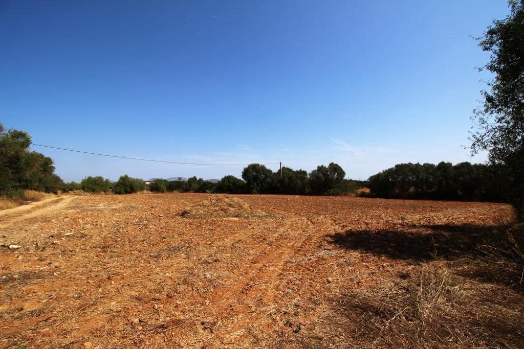 Tomt till salu i Campos - 730 000 € (Ref: 7706917)