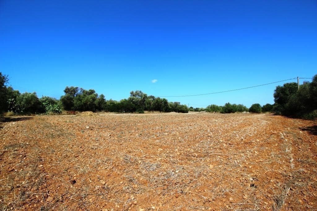 Tomt till salu i Campos - 730 000 € (Ref: 7706917)