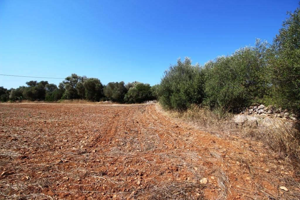 Tomt till salu i Campos - 730 000 € (Ref: 7706917)