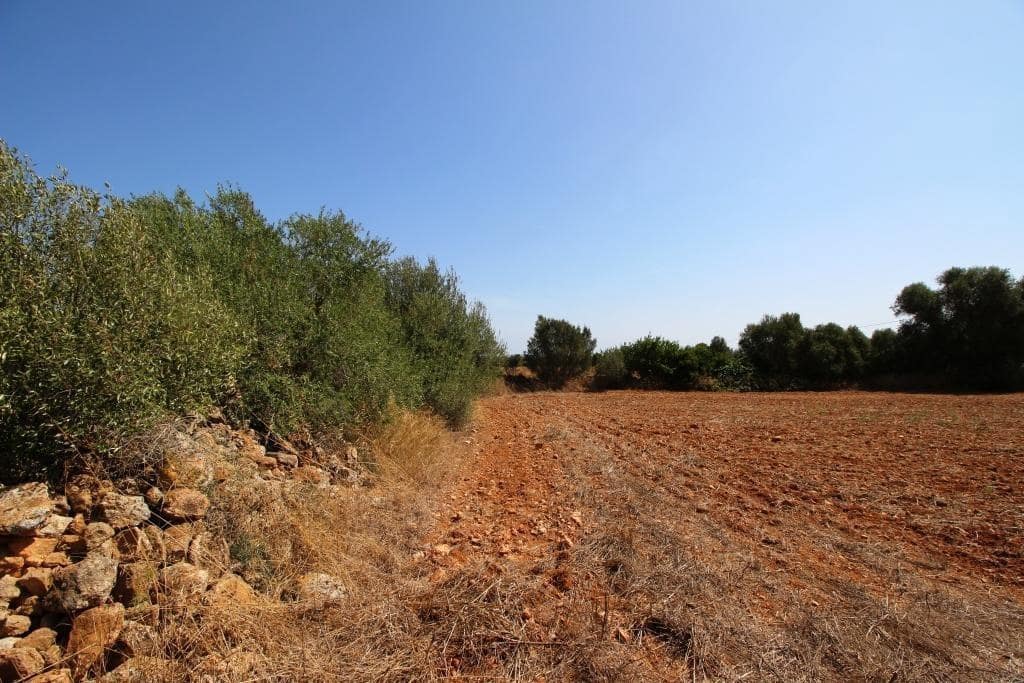 Tomt till salu i Campos - 730 000 € (Ref: 7706917)