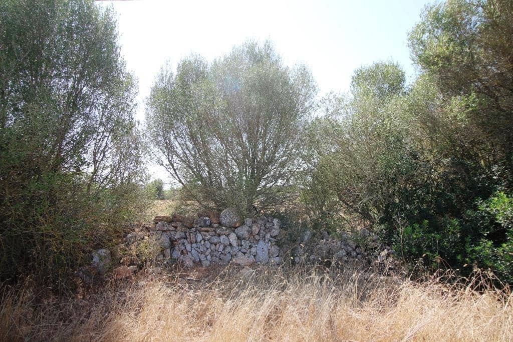 Tomt till salu i Campos - 730 000 € (Ref: 7706917)