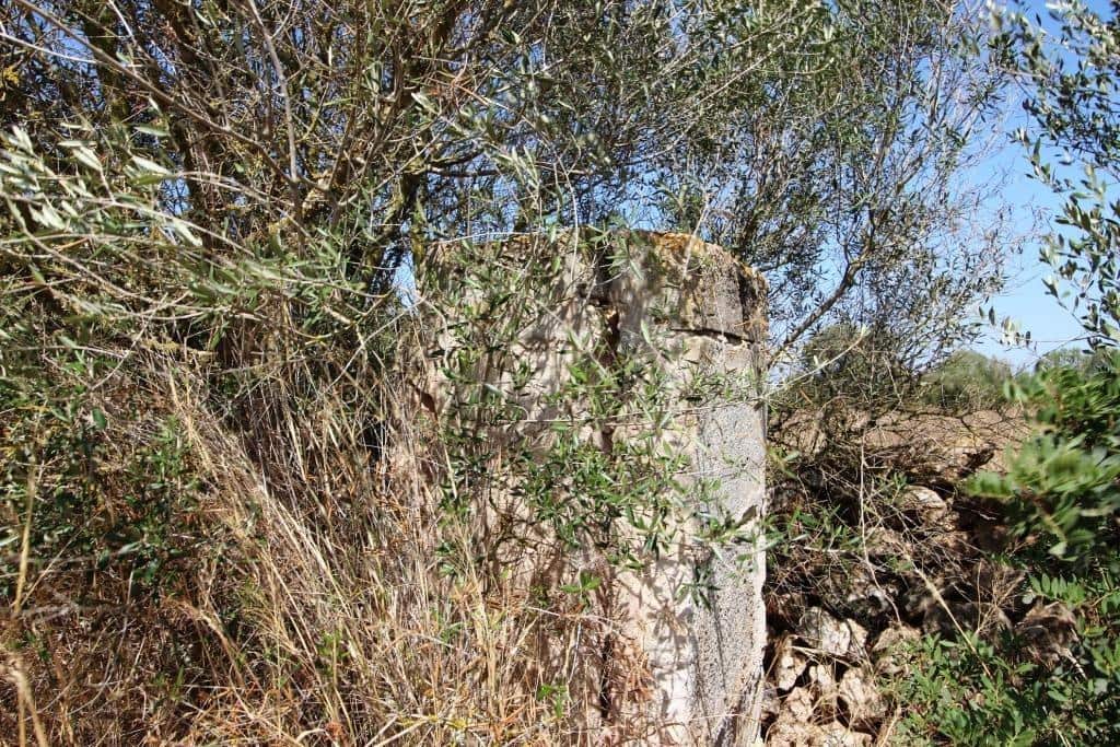 Tomt till salu i Campos - 730 000 € (Ref: 7706917)